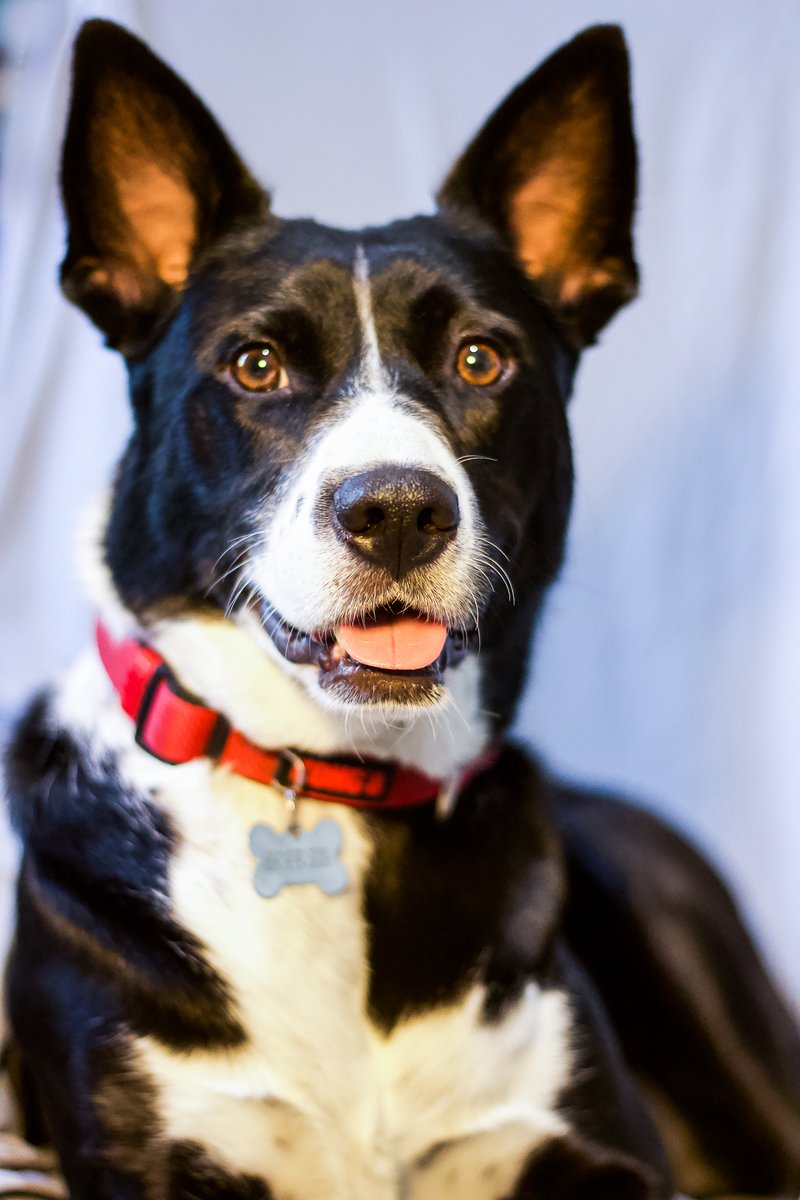 Millie